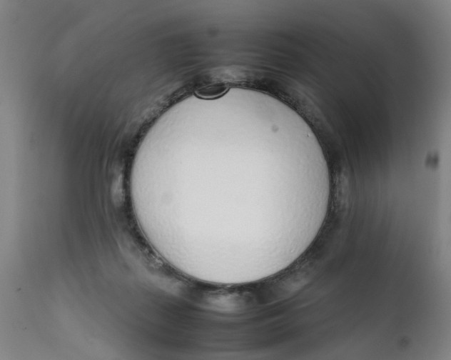 X0000111780267200908131355