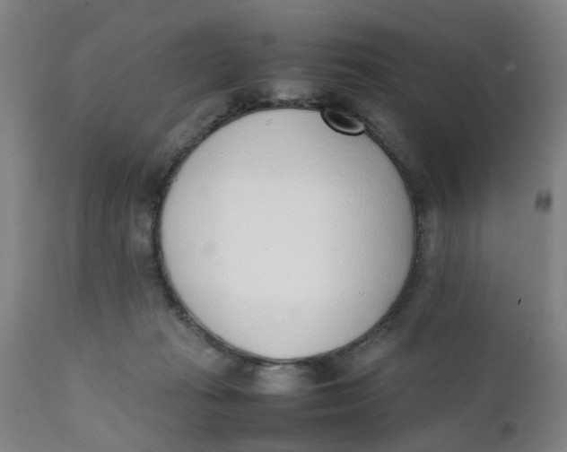 X0000111780269200908131355