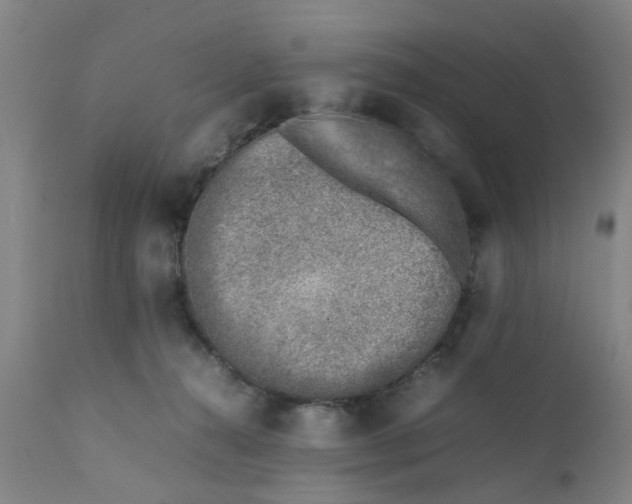 X0000111780272200908131355