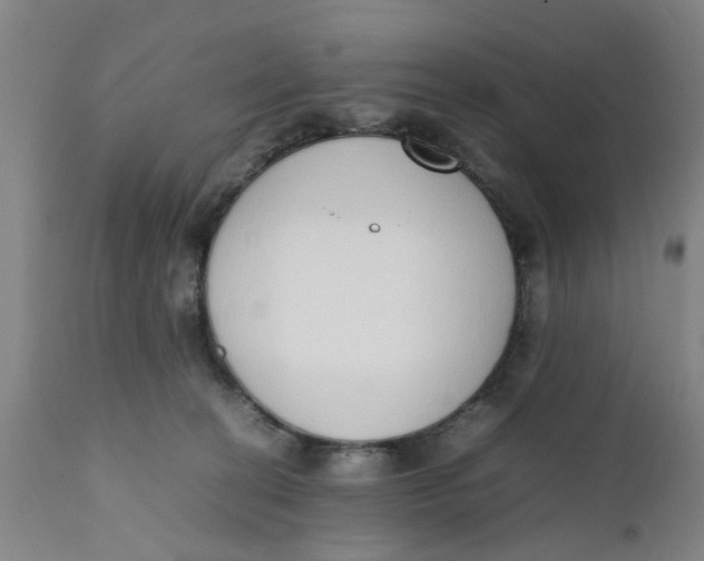 X0000111780274200908131355