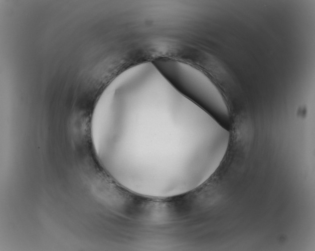 X0000111780276200908131355