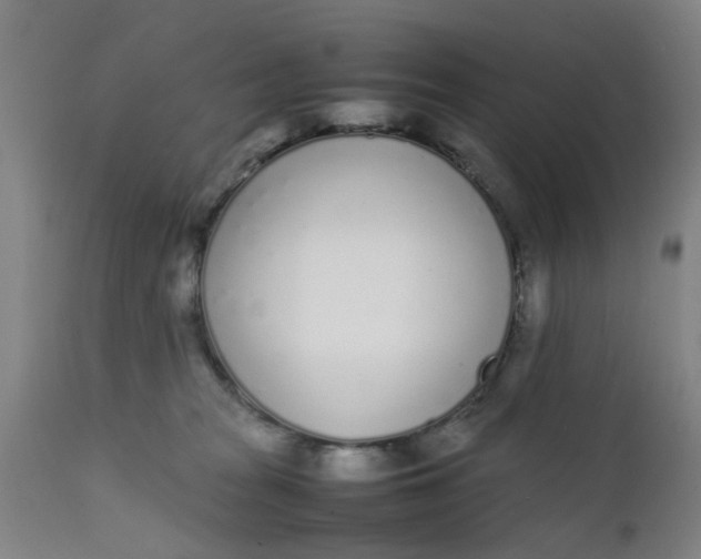 X0000111780277200908131355