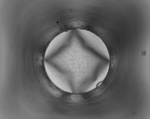 X0000111780279200908131355