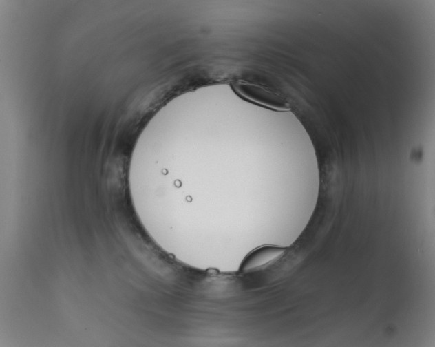 X0000111780280200908131355