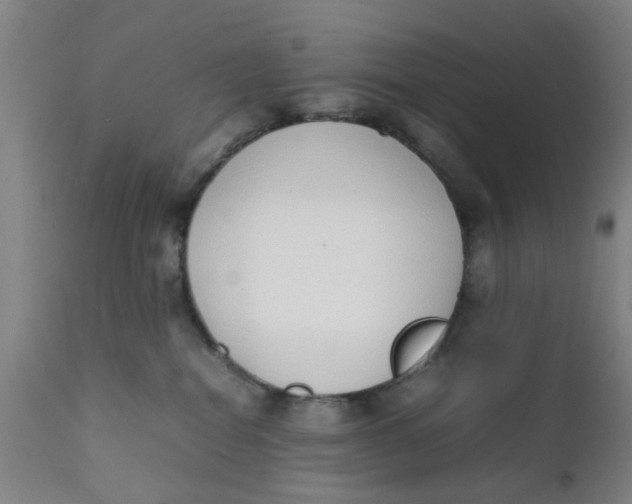 X0000111780282200908131355