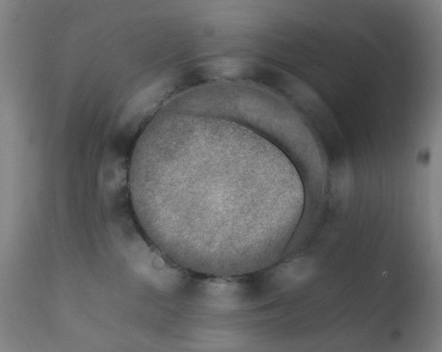 X0000111780284200908131355