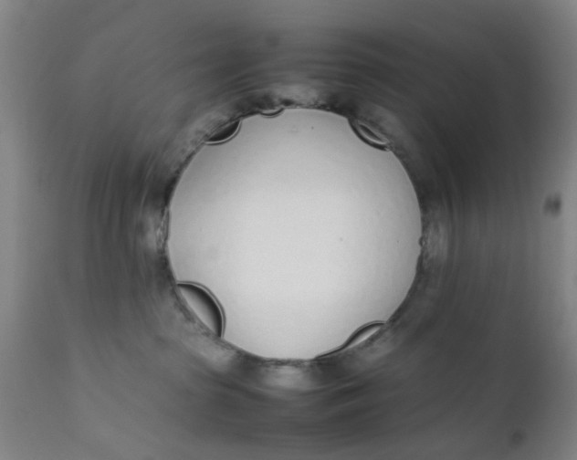 X0000111780285200908131355