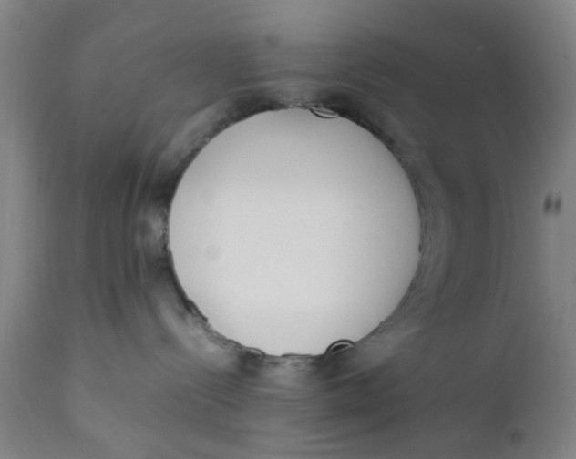X0000111780288200908131356