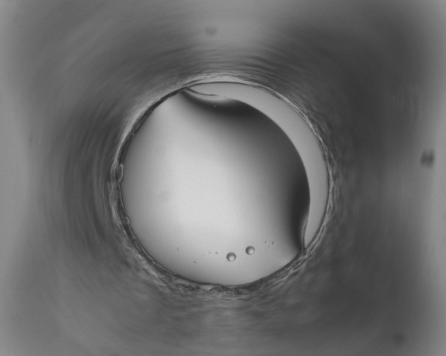 X0000111780289200908131355
