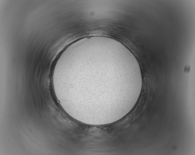 X0000111780290200908131355