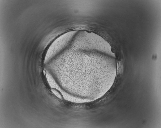 X0000111780291200908131355