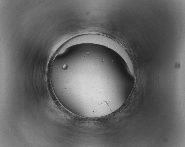 X0000111780292200908131355