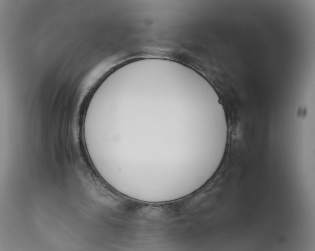 X0000111780294200908131355
