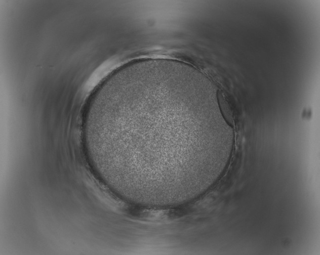 X0000111780295200908131355