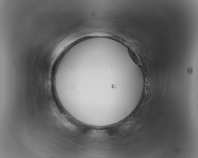 X0000111780296200908131355