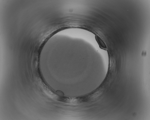 X0000111780301200908131355