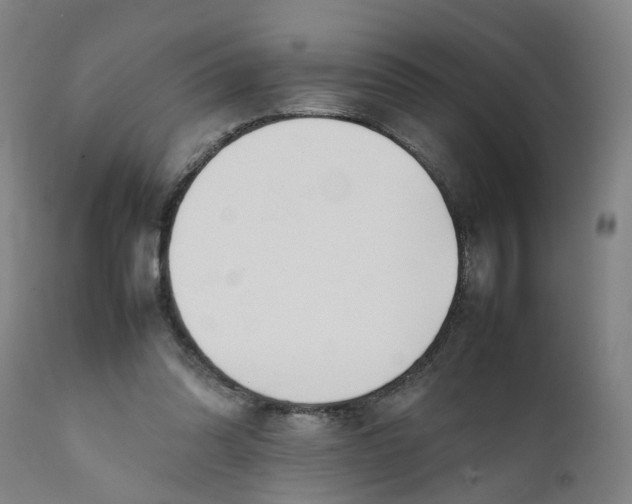 X0000111780302200908131355