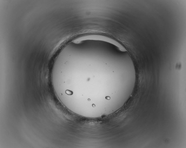 X0000111780304200908131355