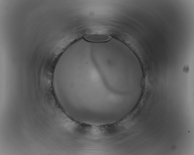 X0000111780305200908131355