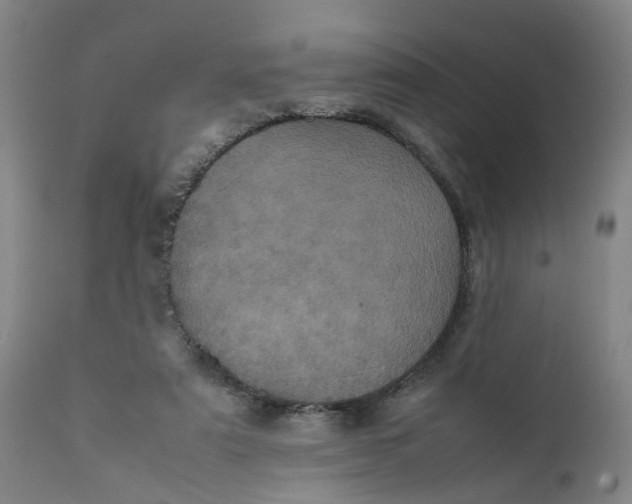 X0000111780307200908131355