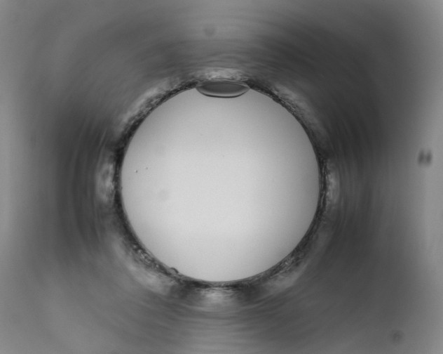 X0000111780308200908131355