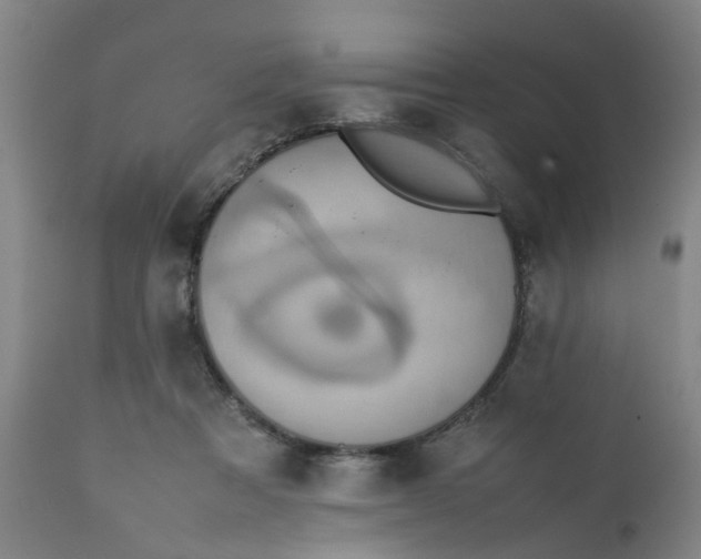 X0000111780313200908131355