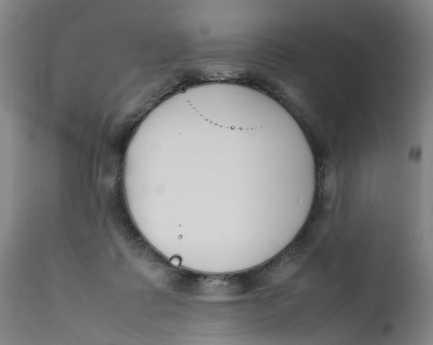 X0000111780315200908131355