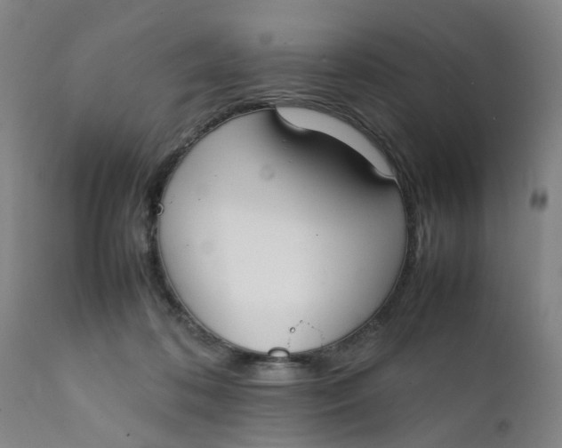 X0000111780316200908131354