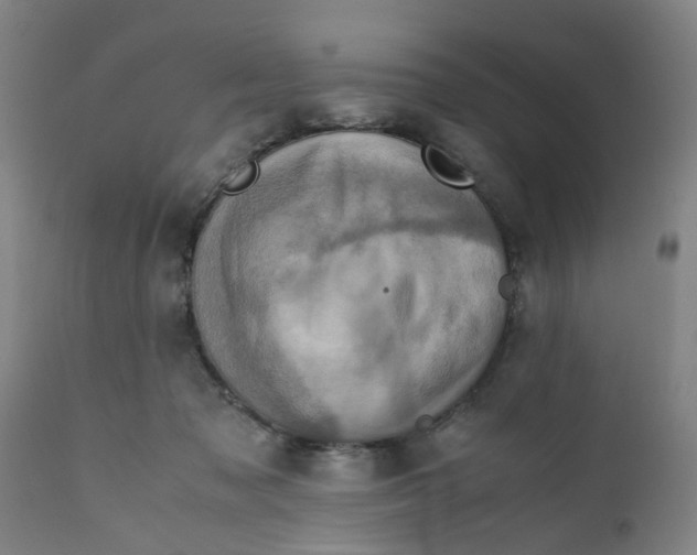 X0000111780317200908131354
