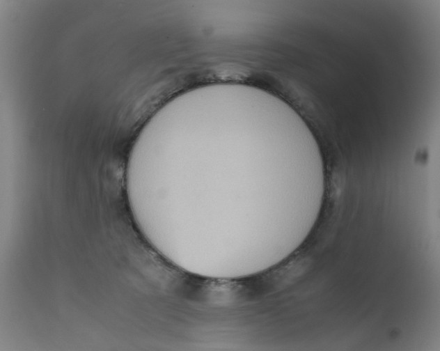 X0000111780321200908131354