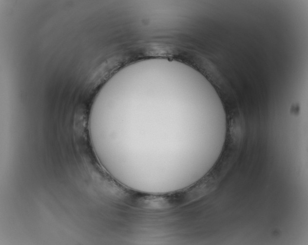 X0000111780322200908131354