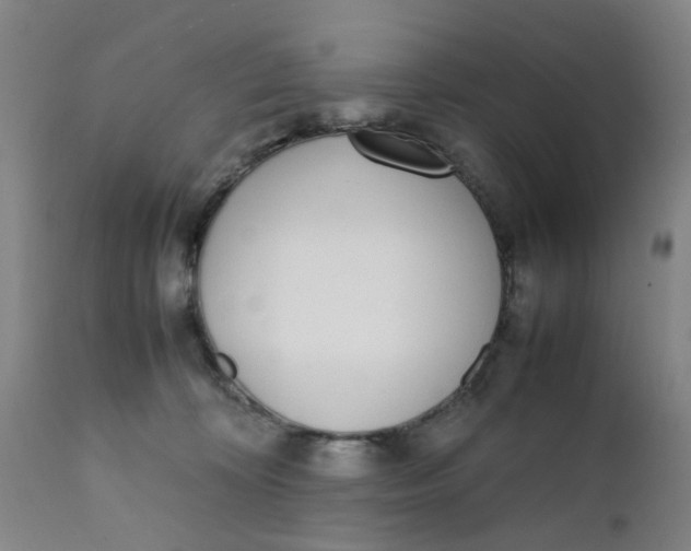 X0000111780324200908131354