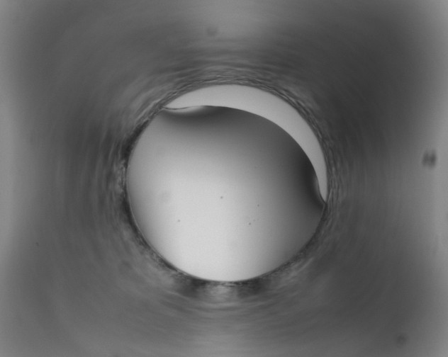 X0000111780325200908131354