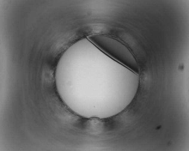 X0000111780327200908131354