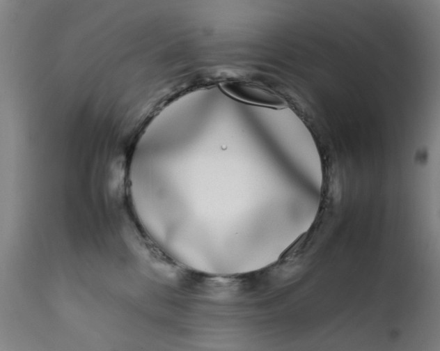 X0000111780328200908131354
