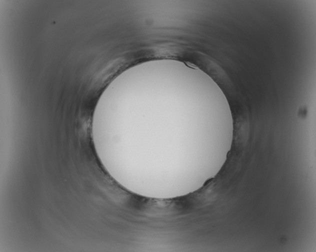X0000111780329200908131354