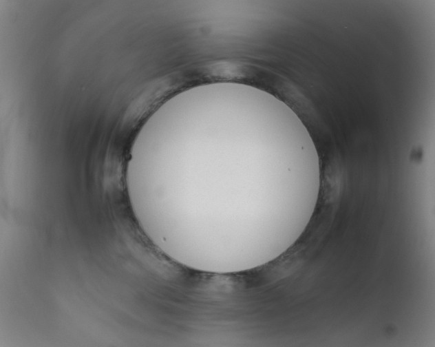 X0000111780330200908131354