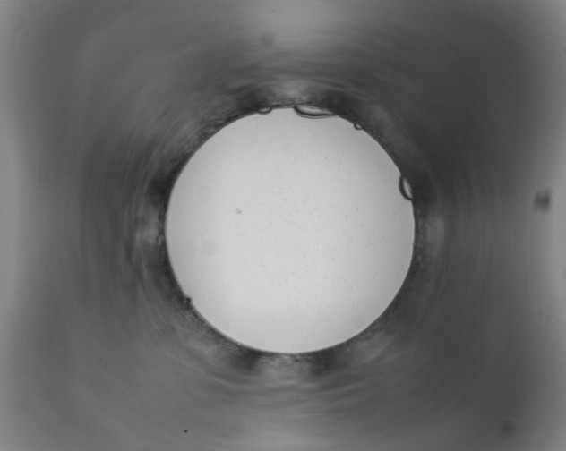 X0000111780331200908131354