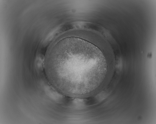 X0000111780332200908131354