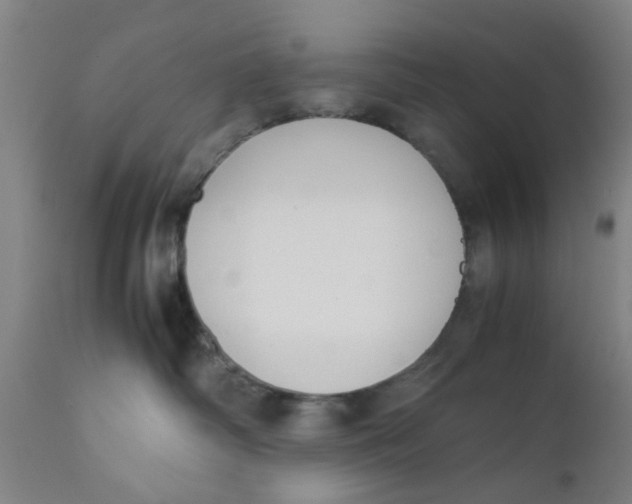 X0000111780334200908131354
