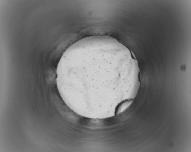 X0000111780335200908131354