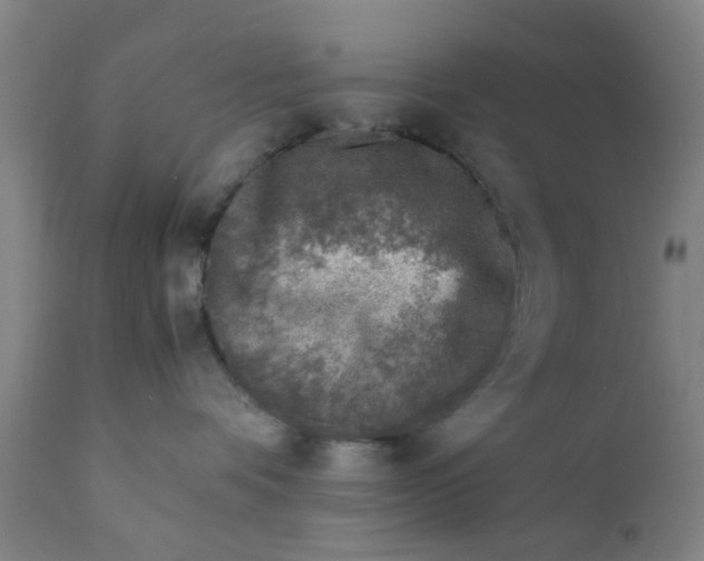 X0000111780336200908131354
