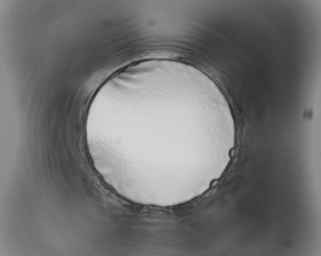 X0000111780337200908131353