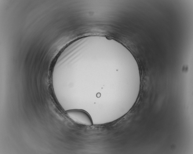 X0000111780338200908131353