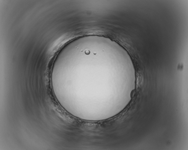 X0000111780339200908131353