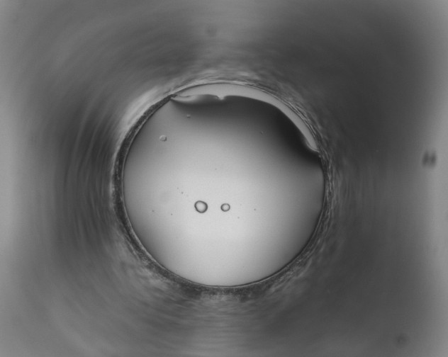 X0000111780340200908131353