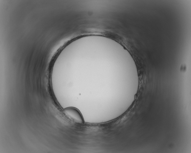X0000111780342200908131353