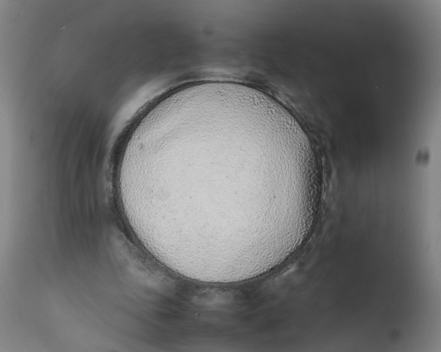 X0000111780343200908131353