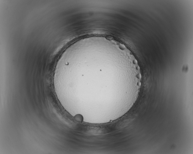 X0000111780347200908131354