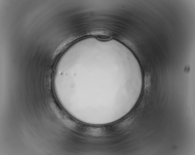 X0000111780349200908131354